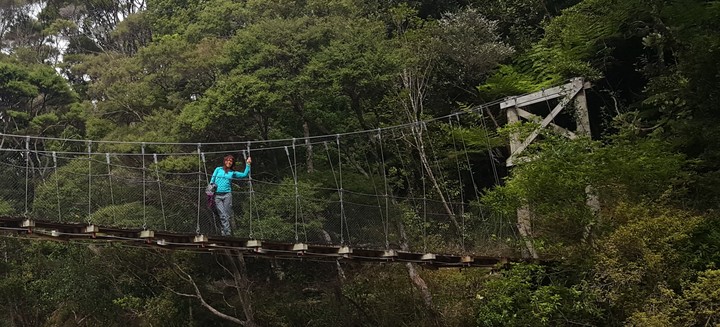 Bridge at Kaiaraara hut